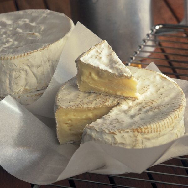 Camembert Artisanal de Thyna (150g)